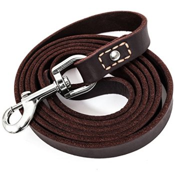 Flat Leather Leads