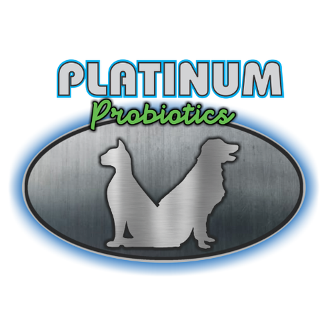 Probiotic Soft Chews